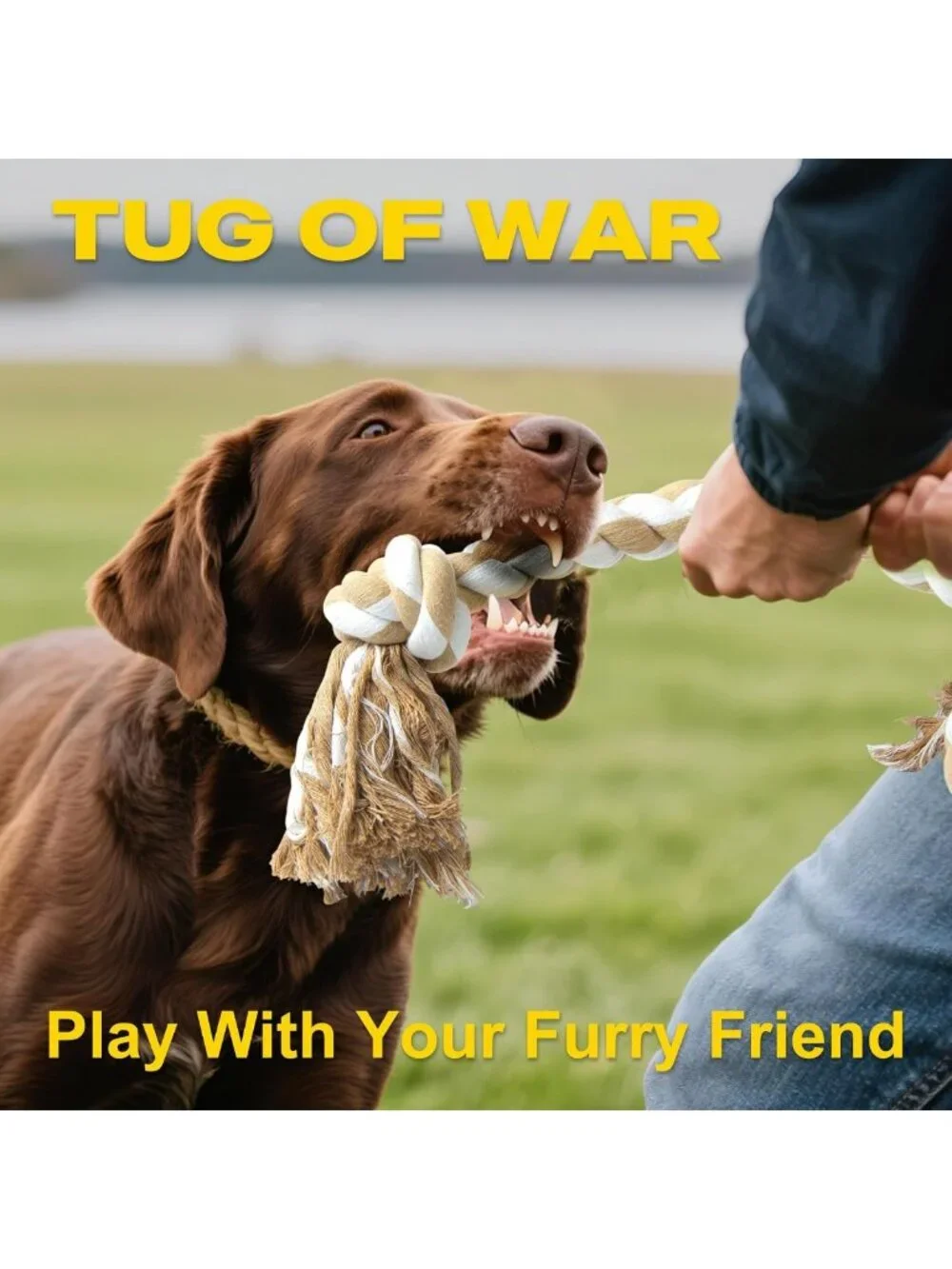 Durable Dog Rope Toy for Large Aggressive Chewers, Natural Cotton 3 Knots